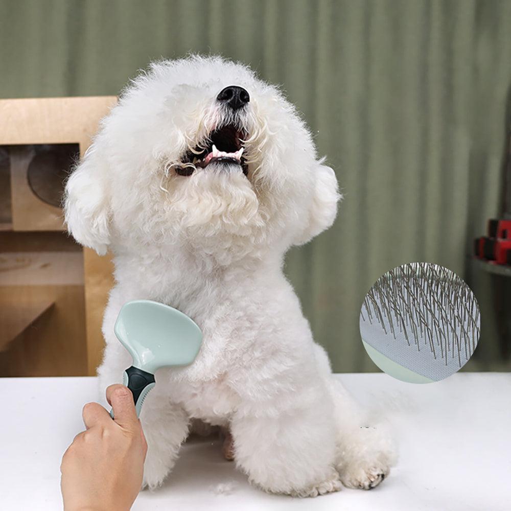 brosse toilettage chien ToilettPaw
